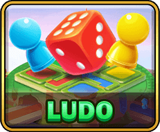 Ludo on RVIP